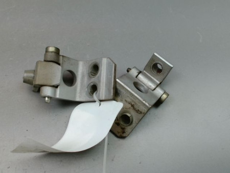 CHARNIÈRE PORTE AVG PEUGEOT 206 1998-2009