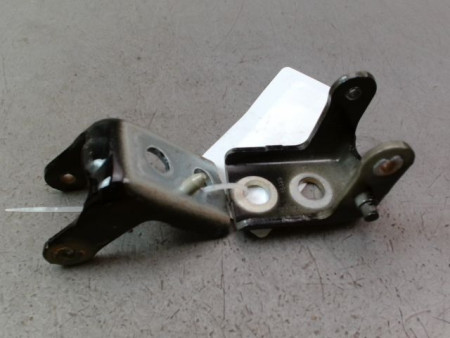 CHARNIÈRE PORTE AVG CITROEN C5 AIRCR.