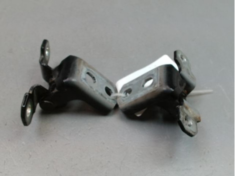 CHARNIÈRE PORTE AVG RENAULT LATITUDE BERL. 2010-...