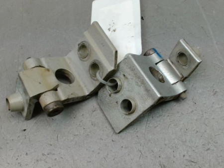 CHARNIÈRE PORTE AVD PEUGEOT 206 + 2009-2013