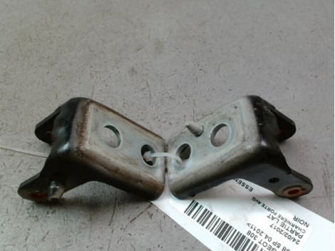 CHARNIÈRE PORTE AVG PEUGEOT 308 2011-