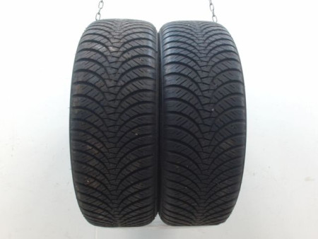 Paire de pneus FALKEN EUROALL SEASON AS 210 195 55 16 87 V
