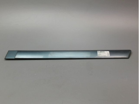 PROTECTION PORTE ARRIERE GAUCHE CITROEN C4 PICASSO MONOSP. I 2007-2013