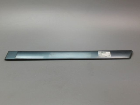 PROTECTION PORTE ARRIERE GAUCHE CITROEN C4 PICASSO MONOSP. I 2007-2013