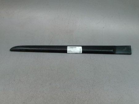 PROTECTION PORTE ARRIERE GAUCHE RENAULT CLIO III Phase 1 2005-2009