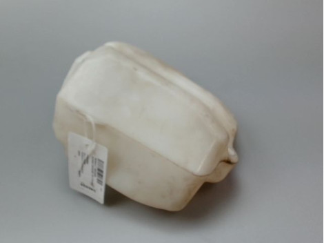 RESERVOIR LAVE-GLACE AVANT RENAULT SCENIC MONOSP. II Phase 1 2003-2006