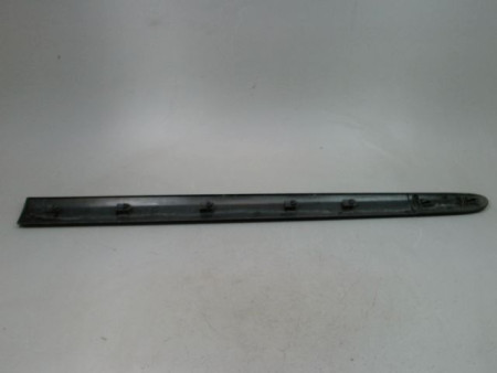 PROTECTION PORTE AVANT GAUCHE RENAULT CLIO CAMPUS II Phase 2 2009-2012