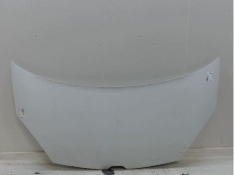 CAPOT RENAULT KANGOO BREAK II Phase 2 2013-...