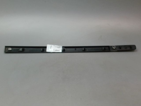 PROTECTION PORTE AVANT GAUCHE RENAULT CLIO III Phase 1 2005-2009