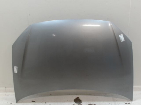 CAPOT VOLKSWAGEN POLO IV Phase 2 (9N) 2005-2009