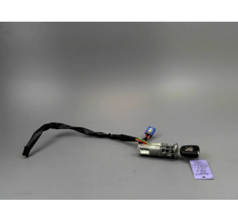 ANTIVOL DE DIRECTION PEUGEOT 206 + 2009-2013