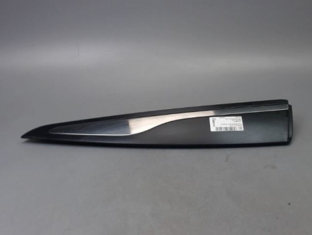 PROTECTION PORTE ARRIERE GAUCHE RENAULT CLIO BREAK IV Phase 1 2012-...